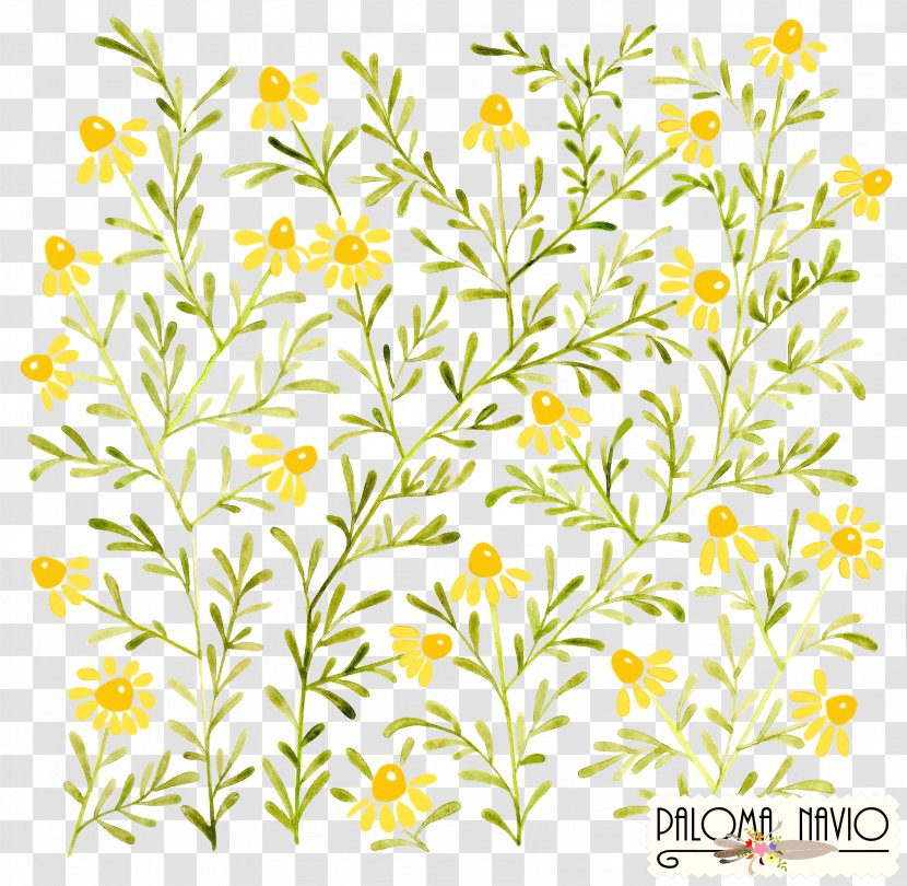 Watercolor Painting Art - Plant Stem - Camomile Flower Transparent PNG