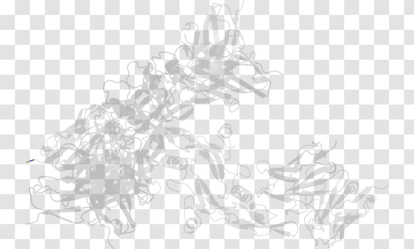 Line Art White H&M Sketch - Branch Transparent PNG