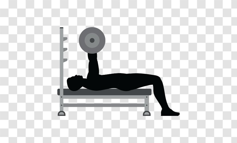 Vector Graphics Bench Press Royalty-free Illustration - Powerlifting - Barbell Cartoon Transparent PNG