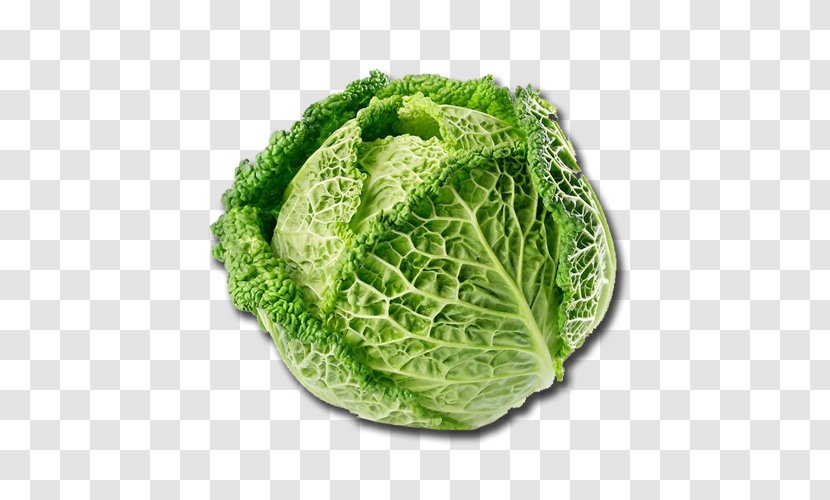 Savoy Cabbage Vegetable Variety Salad Cauliflower - Superfood Transparent PNG