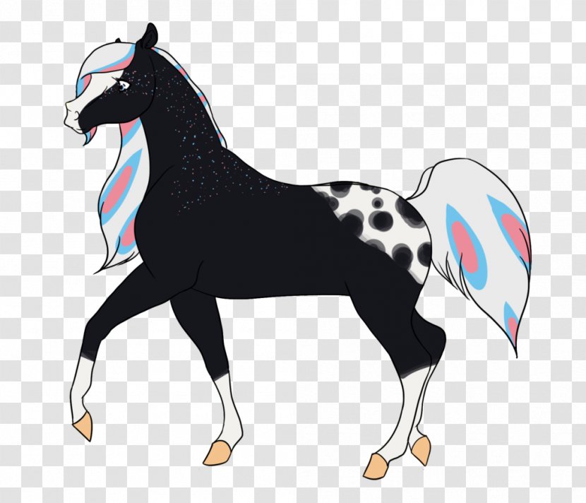 Stallion Mustang Foal Colt Mare - Horse Tack Transparent PNG