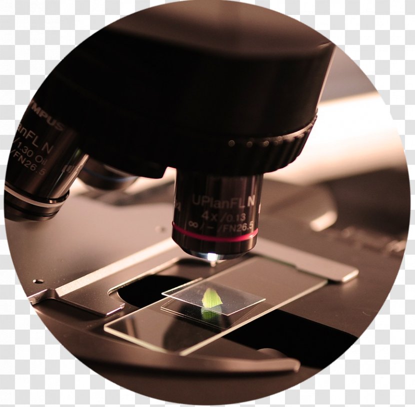 Institute Of Food And Agricultural Sciences Microscope Research Technology - Biomedical Scientist Transparent PNG