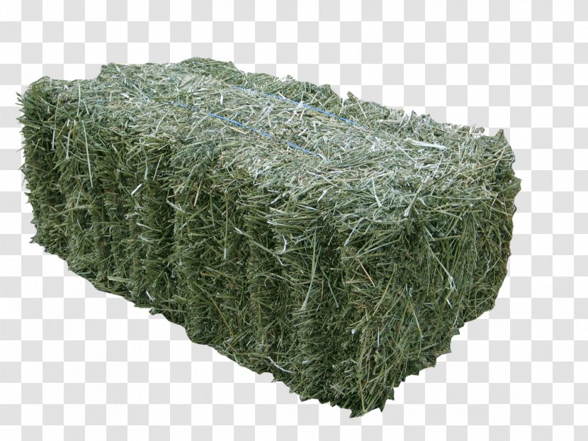 Alfalfa Hay Baler Fodder Silage - Grass - Bale Transparent PNG