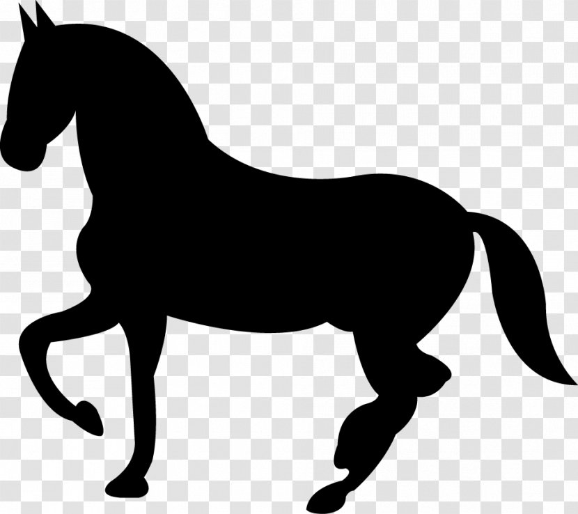 Horse Colt Equestrian Transparent PNG
