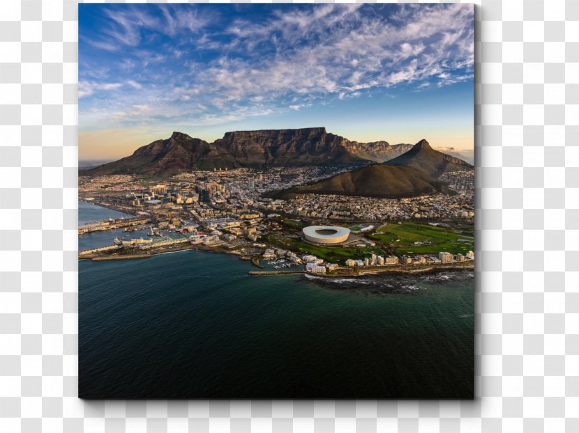 University Of Cape Town Hout Bay Addo Elephant National Park Travel Accommodation - Coast Transparent PNG
