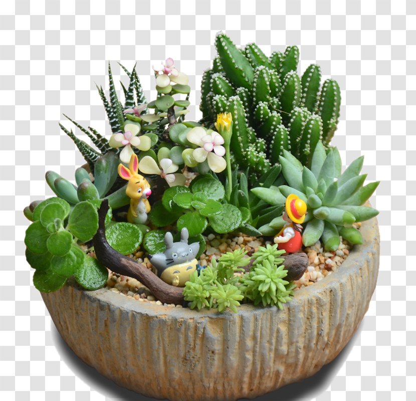 Flowerpot Bonsai Vase - Cactaceae - Circular Stone Pot Transparent PNG