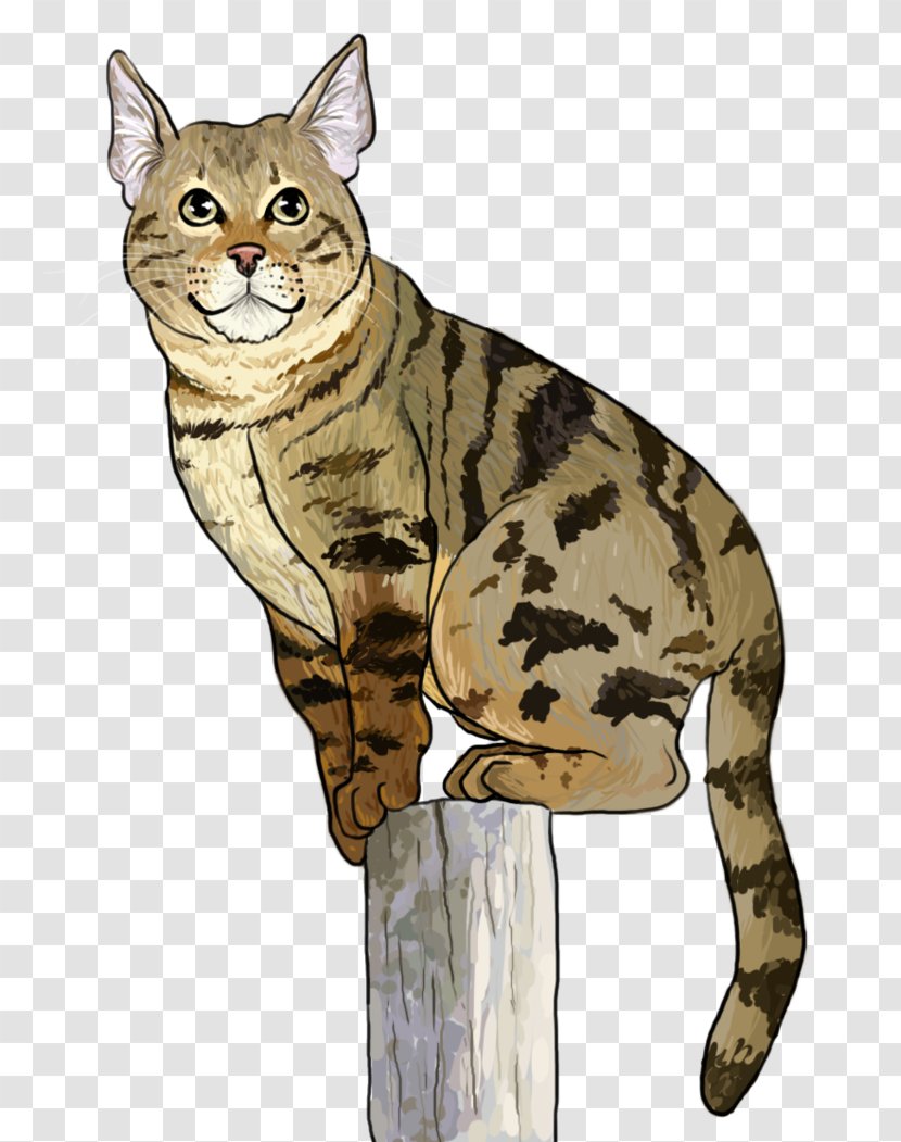 American Shorthair European California Spangled Toyger Bengal Cat - Domestic Short Haired - Hand-painted Flamingos Transparent PNG