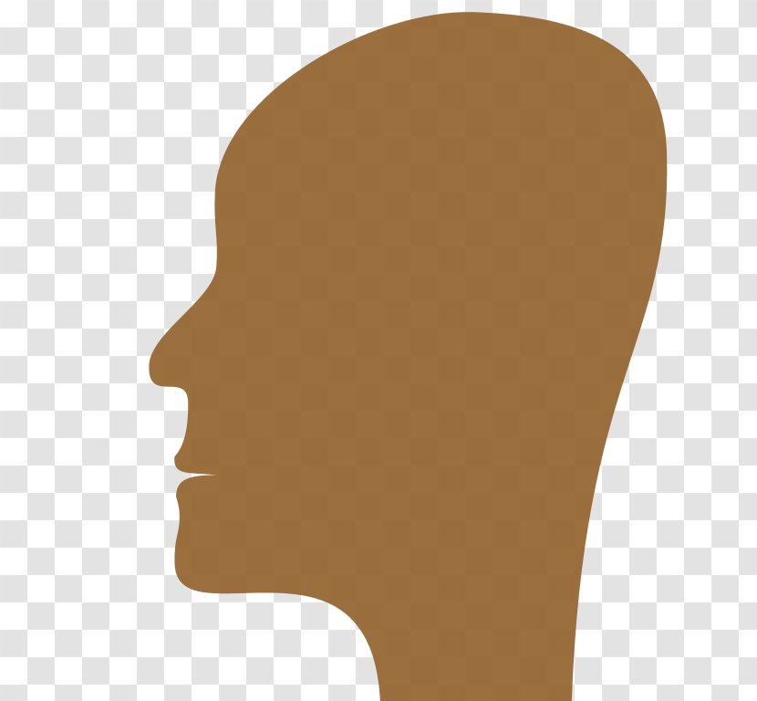 Face Human Head - Eyebrow - Profile Transparent PNG