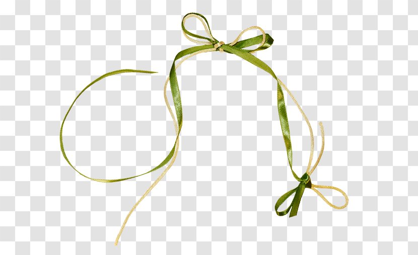 Leaf Plant Stem Flower Transparent PNG