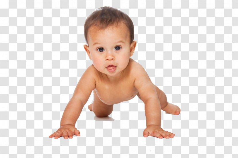 Crawling Infant Child Diaper Nanny - Hand Transparent PNG