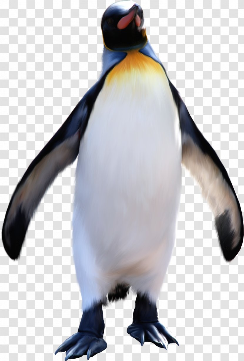 King Penguin Antarctic Emperor Clip Art - Flightless Bird - Penguins Transparent PNG