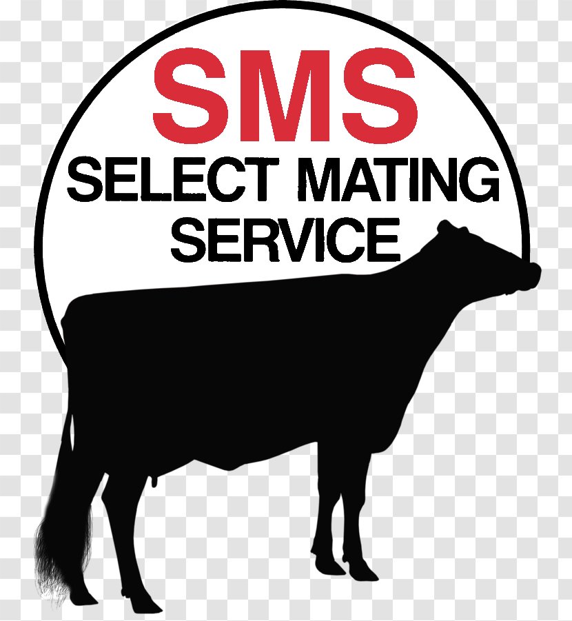 Mating SMS Customer Service Holstein Friesian Cattle - Black And White - Text Messaging Transparent PNG