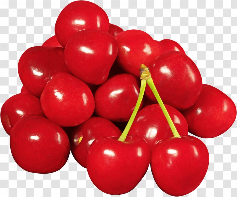 Tomato Cartoon - Acerola Family - Berry Flower Transparent PNG