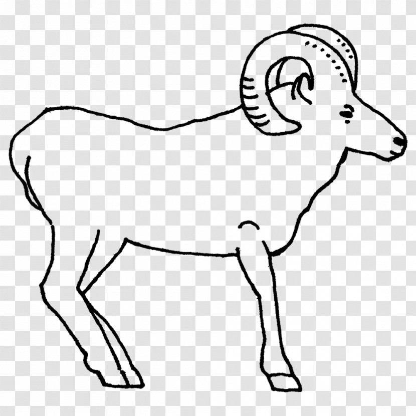 Horse Sheep Meter Human Tail Transparent PNG