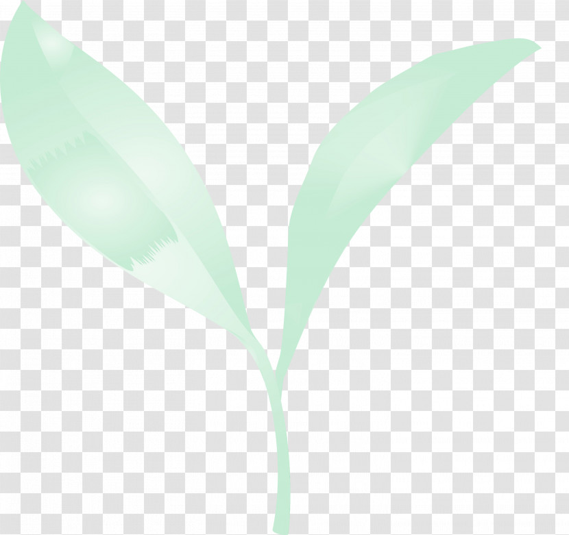 Leaf Green Plant Lily Of The Valley Flower Transparent PNG