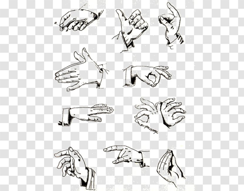 Speak Italian: The Fine Art Of Gesture Meaning Language - Tree - Hand Transparent PNG