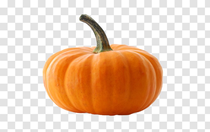 Jack-o'-lantern Pumpkin Cucurbita Maxima Winter Squash Cucurbitaceae Transparent PNG