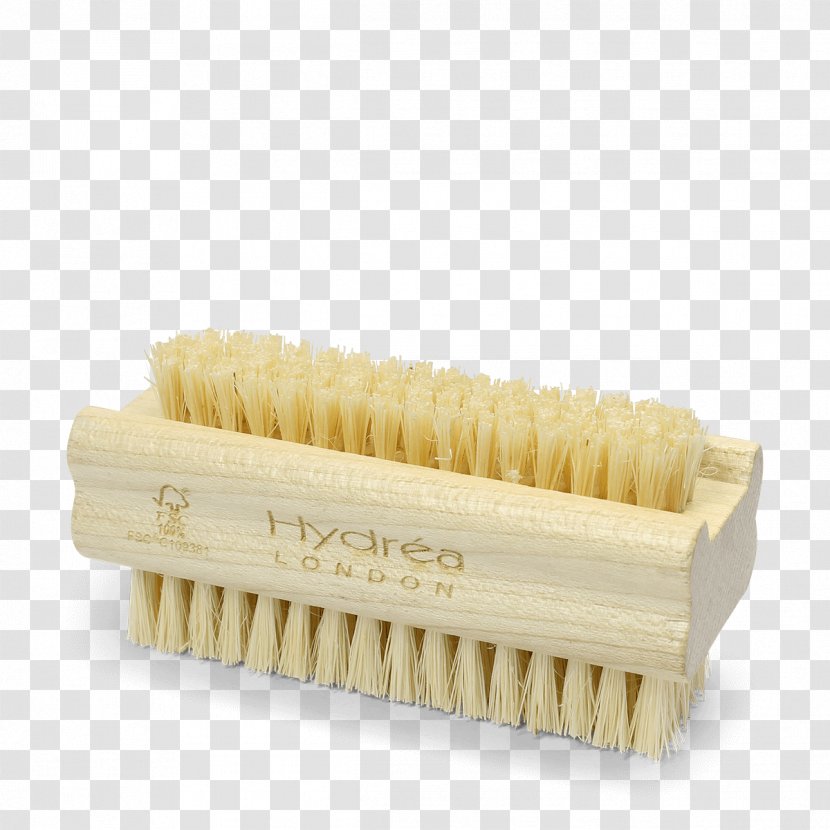 Bristle Hairbrush Nail Hydroxycarbamide Transparent PNG