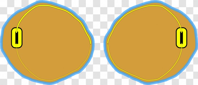 Dottercell Mitosis Cell Division Biology - Meiosis - Zygote Transparent PNG