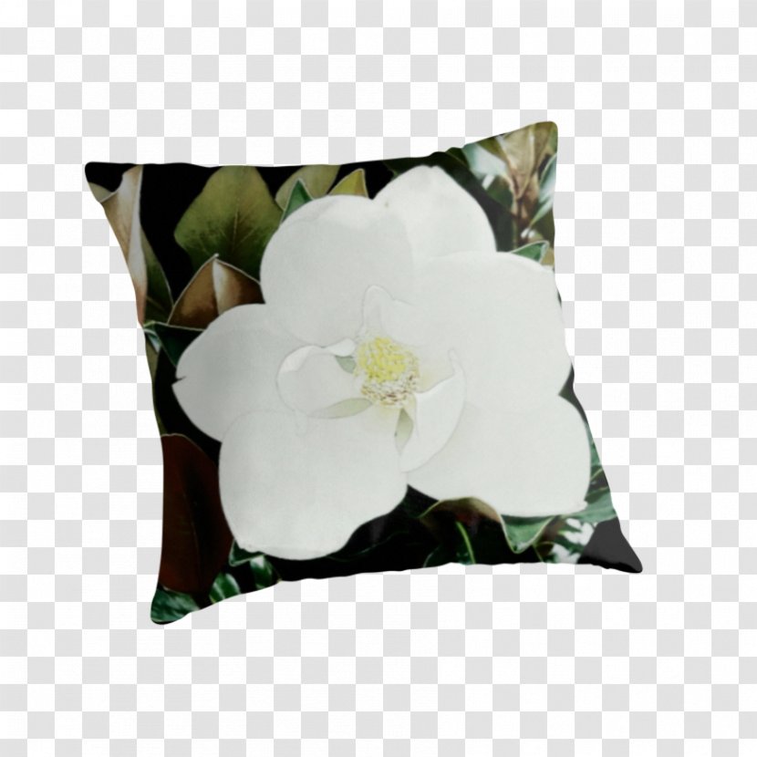 Throw Pillows Cushion Flowering Plant - Green - Magnolia Grandiflora Transparent PNG