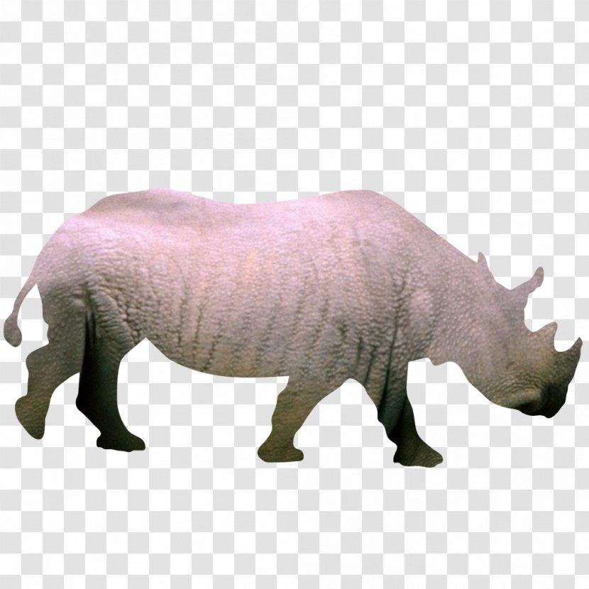 Silhouette Animal Clip Art - Rhinoceros - Rhino Transparent PNG
