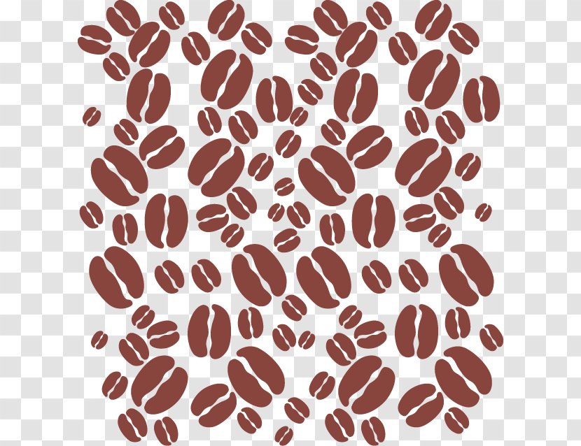 Coffee Bean Adobe Illustrator - Drawing - Vector Hand-painted Beans Transparent PNG