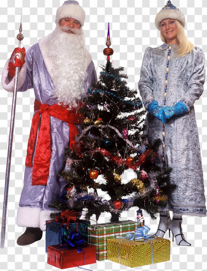 Christmas Tree Ded Moroz Snegurochka Santa Claus Ornament Transparent PNG