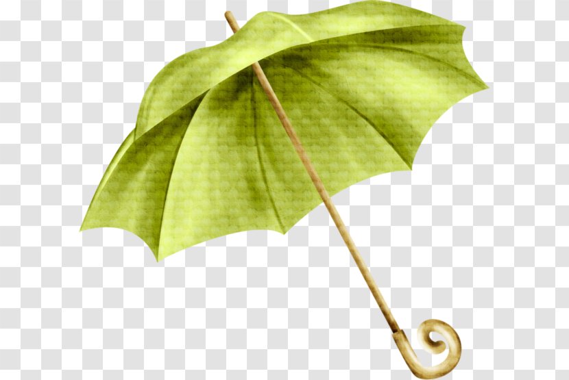 Umbrella Green Rain - Plant - Pastoral Style Transparent PNG