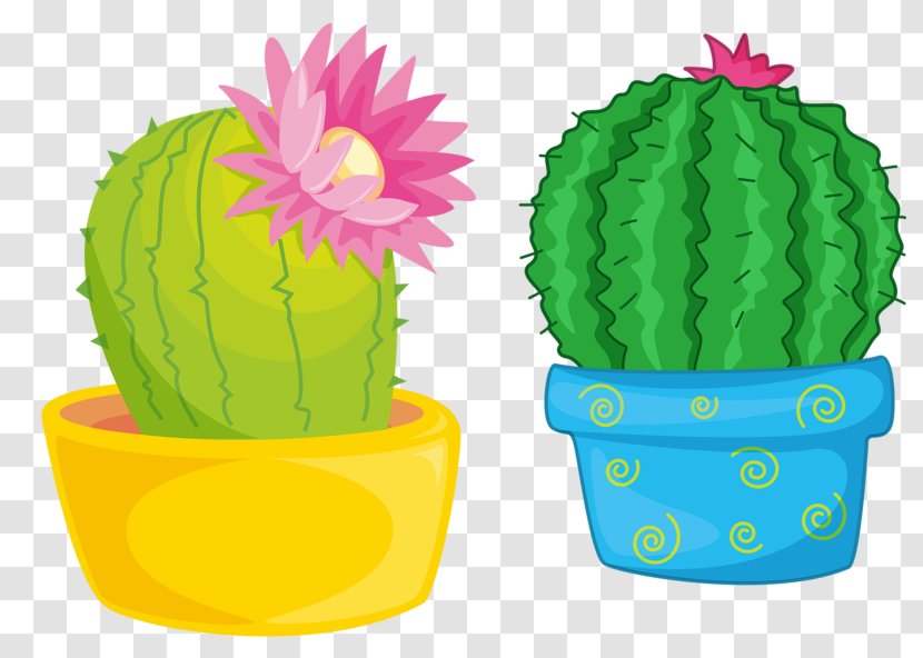 Plant Royalty-free Stock Photography Illustration - Flowering - Blooming Cactus Transparent PNG