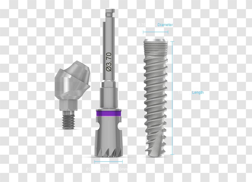 Tool Household Hardware - Design Transparent PNG