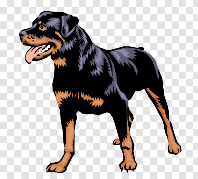 Dog Rottweiler Working Dog Companion Dog Transparent PNG