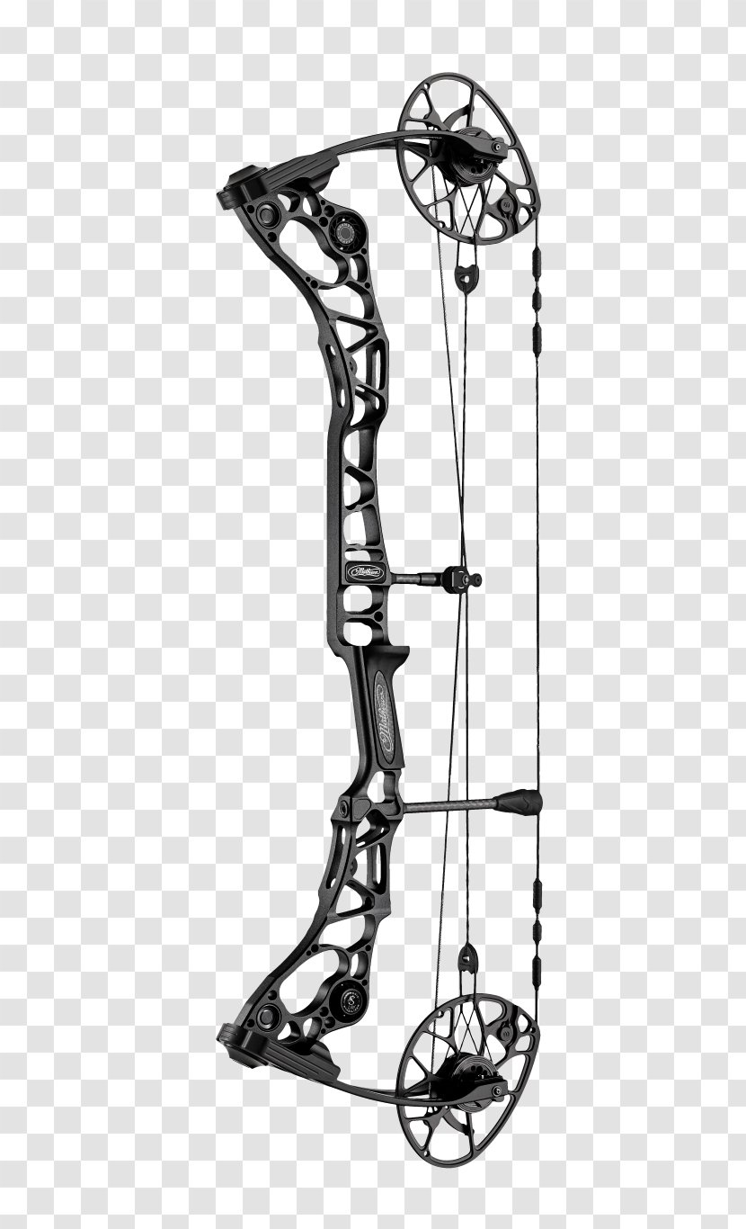Compound Bows Bow And Arrow Archery Bowhunting - Timber Mesa Outdoors Llc Transparent PNG