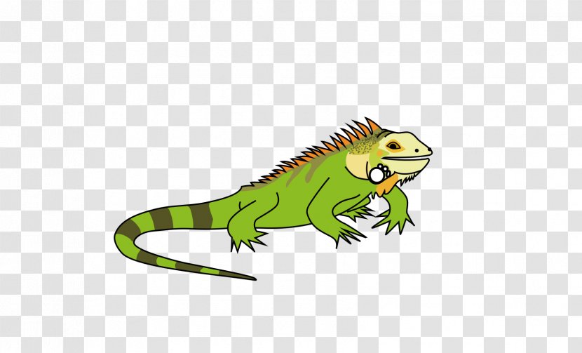 Green Background - Lizard - Gecko Marine Iguana Transparent PNG