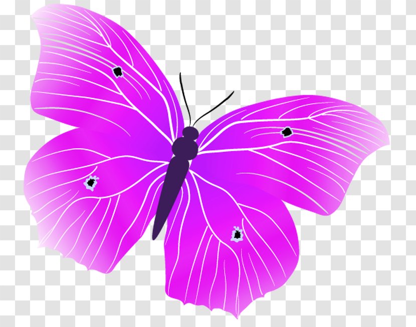 Monarch Butterfly .ru LiveInternet Butterflies And Moths Russia - Petal - Invertebrate Transparent PNG