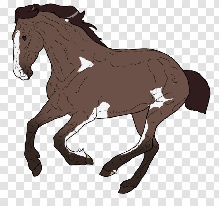 Foal Stallion Mane Rein Mustang - Horse Transparent PNG