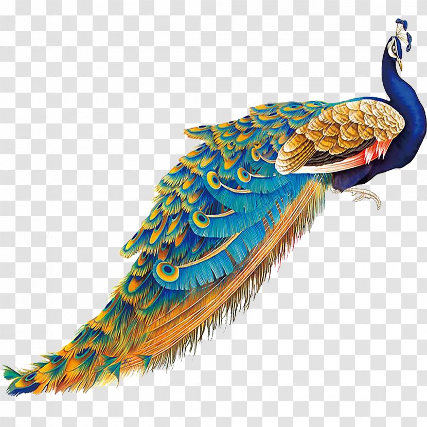 China Bird Peafowl Feather - Animal - Lifelike Peacock Tail Transparent PNG