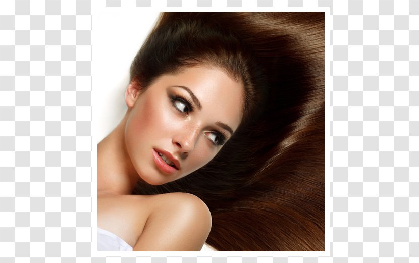 Long Hair Beauty Parlour Brown Cosmetologist - Certificate Transparent PNG