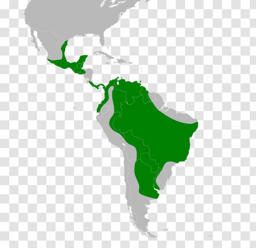 South America United States Latin - Vector Map Transparent PNG