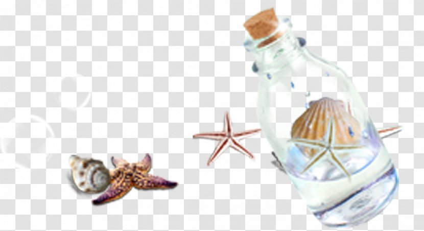 Bottle Seashell Glass - Starfish Creative Pull Drift Bottles Free Transparent PNG