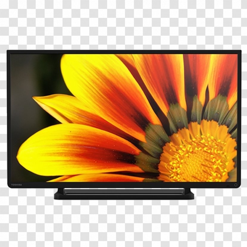 1080p High-definition Television LED-backlit LCD Toshiba TV - Flower - Set Transparent PNG
