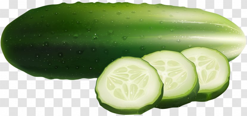 Cucumber Euclidean Vector Food Illustration - Vegetable - Cool Slices Transparent PNG