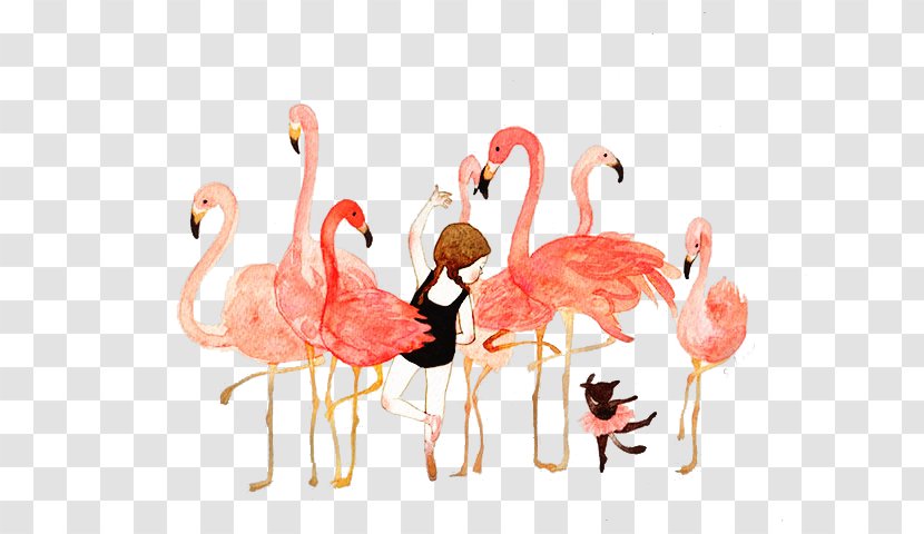 Flamingo Illustration Watercolor Painting Image - Beak Transparent PNG