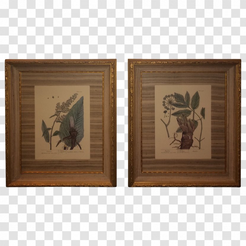 Wood Stain Picture Frames /m/083vt Rectangle - Hand Painted Transparent PNG