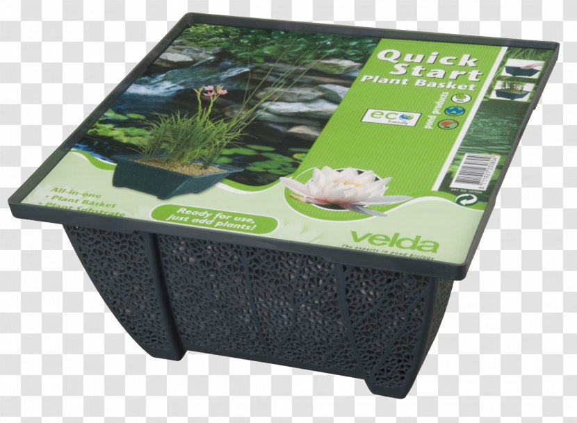 Aquatic Plants Pond Sowing Water - Sneakers - Plant Transparent PNG