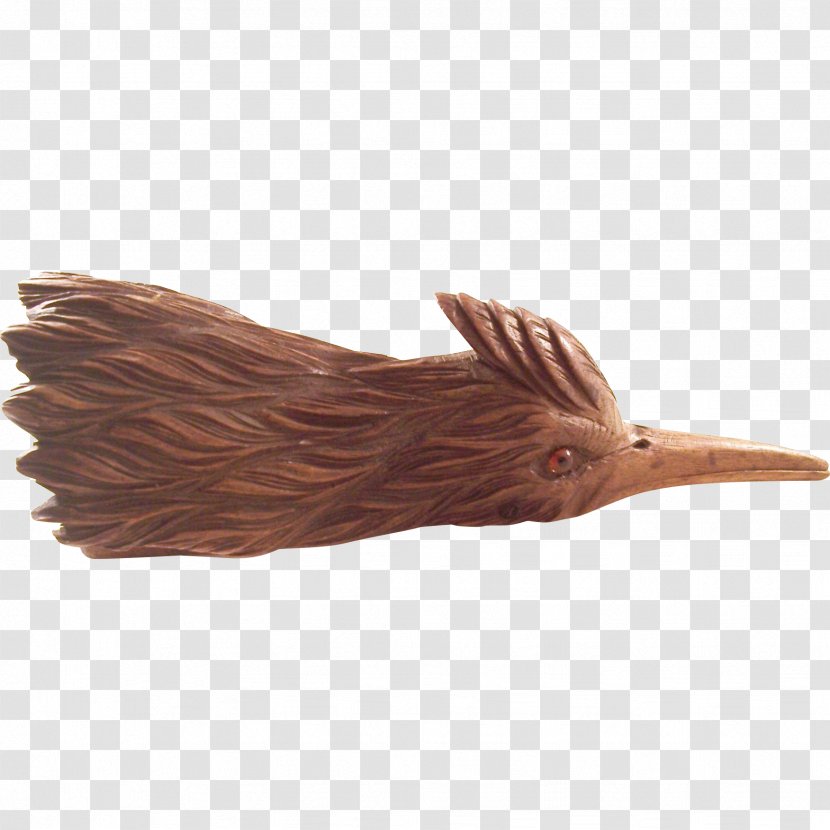 Wood Beak Feather /m/083vt Brown Transparent PNG