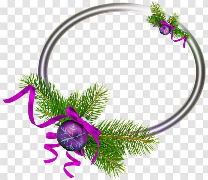Christmas Decoration - Flower - Magenta Pine Family Transparent PNG