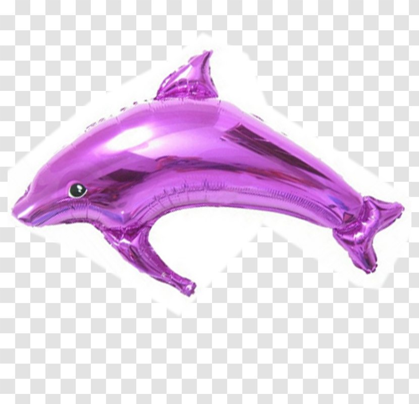 Dolphin Marine Biology Pink M Balloon - Purple Transparent PNG