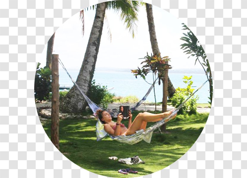 Leisure Recreation Hammock Vacation Tree - Stx Gl1800ejmvgr Eo Transparent PNG