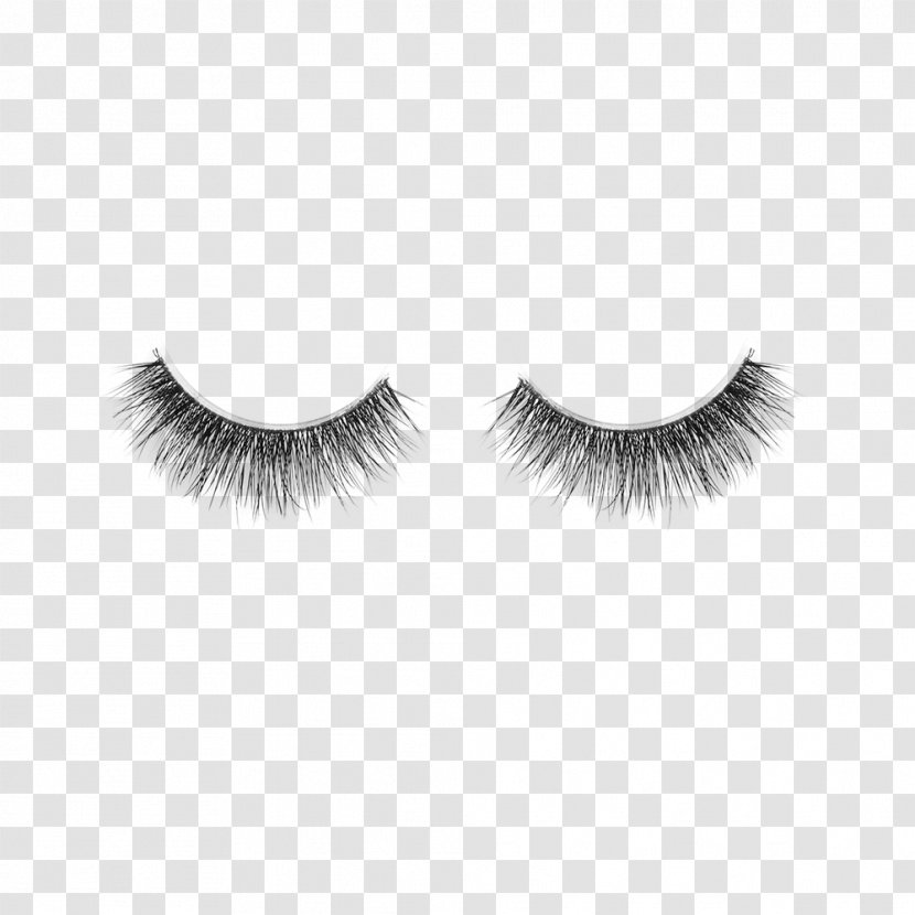 Eyelash Extensions Albaran Cosmetics Beauty - Tool Transparent PNG