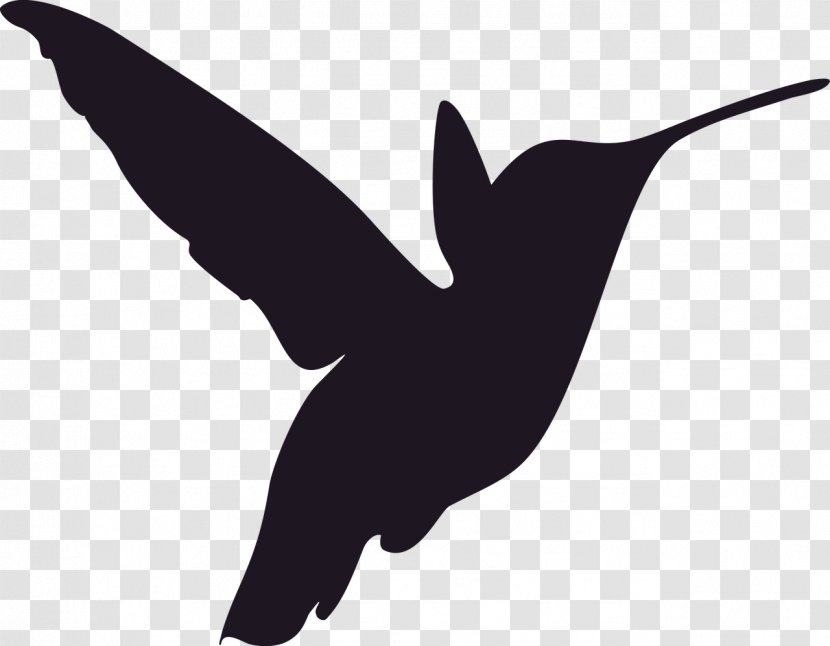 Hummingbird Stencil Silhouette - Pollinator - Bird Transparent PNG